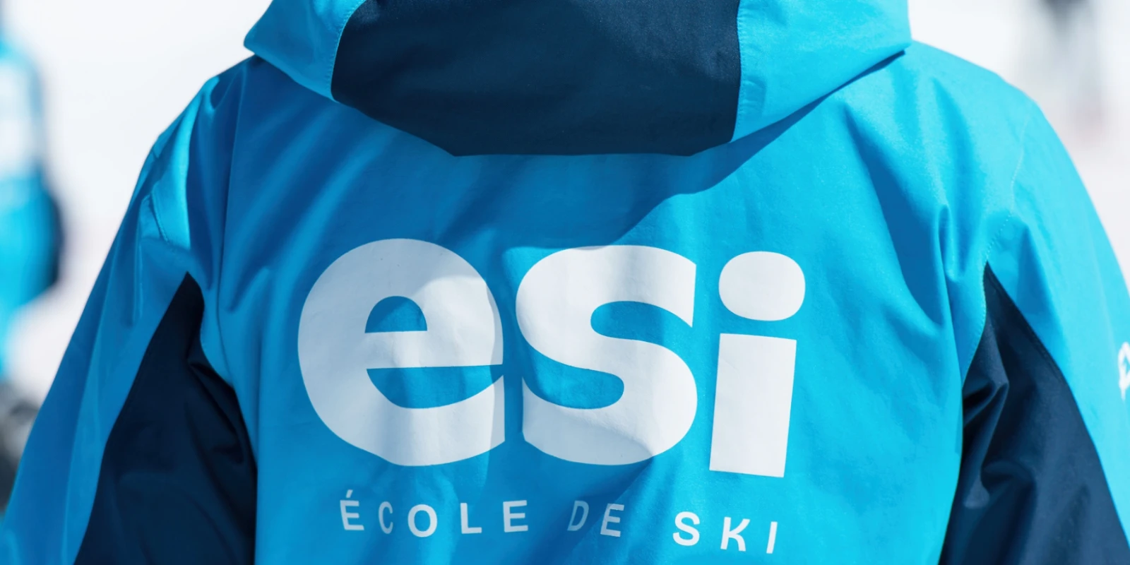 Image pour Why choose ESi ?